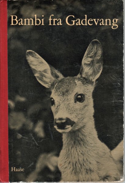 画像1: Bambi fra Gadevang (1)