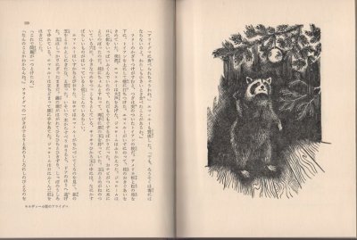 画像3: キルディー小屋のアライグマ　【少年少女・新しい世界の文学19】