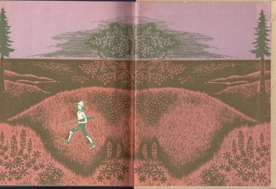 画像1: キルディー小屋のアライグマ　【少年少女・新しい世界の文学19】