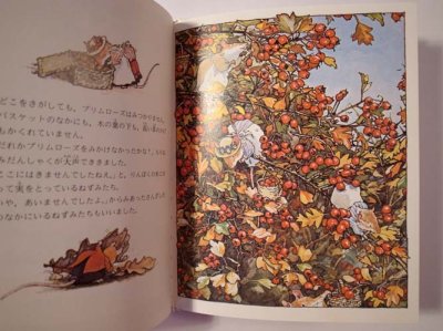 画像1: 木の実のなるころ　【のばらの村のものがたり】