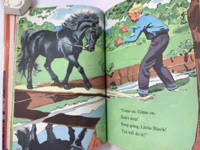 画像2: Little Black Goes to the Circus!　【Beginner Books】